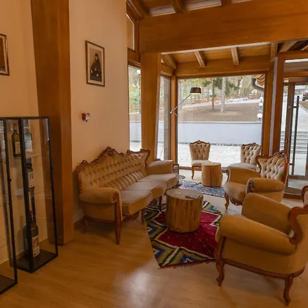 Hotel Studenica 1186